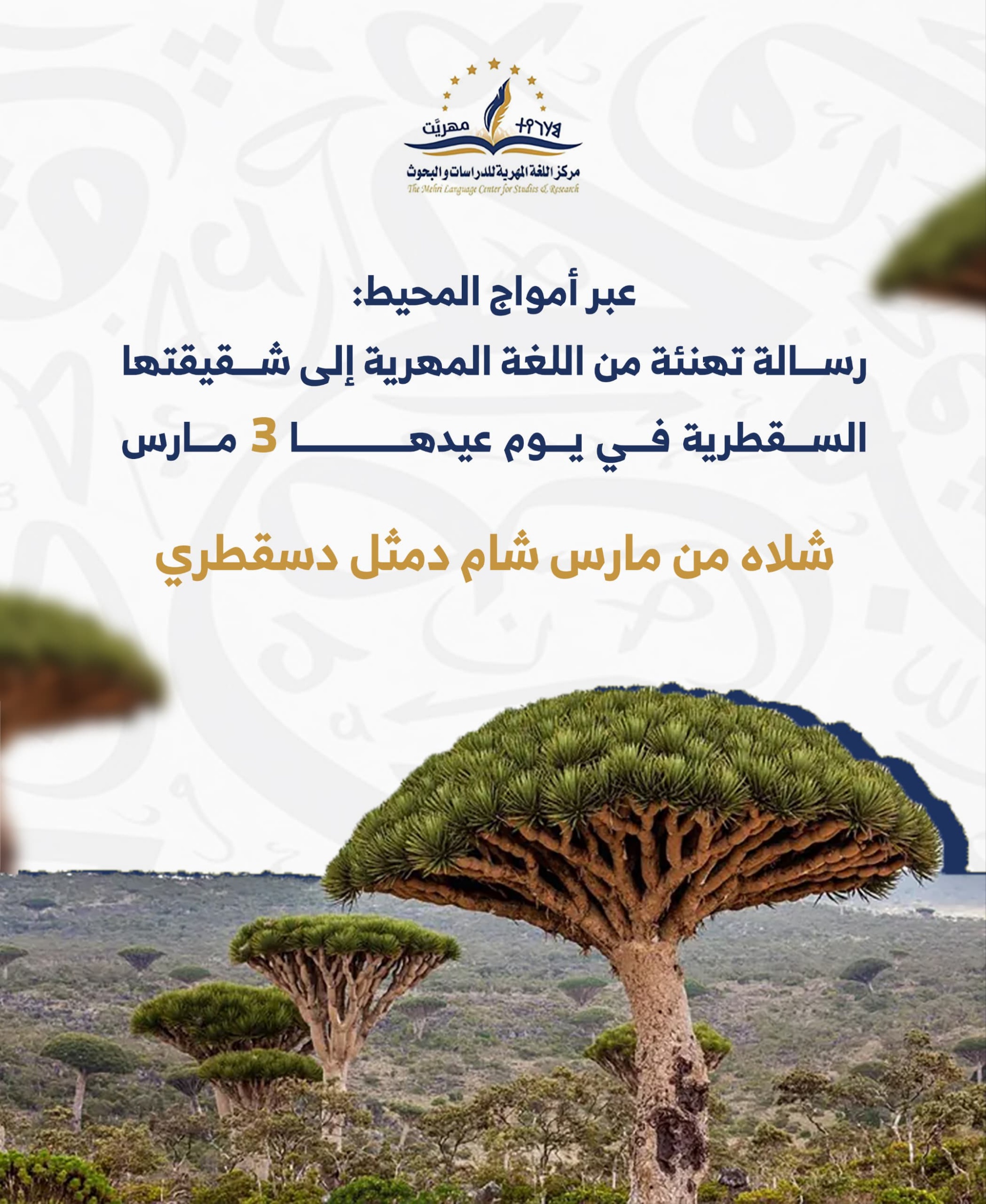 عبر أمواج المحيط: 'رسالة من المهرية إلى اللغة السقطرية في يوم عيدها'